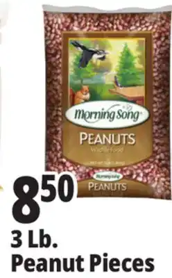 Ocean State Job Lot Morning Song Wildlife Food Peanuts 3 lbs offer