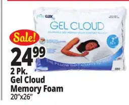 Ocean State Job Lot Gel Memory Foam Comfort Pillows 2-Count offer