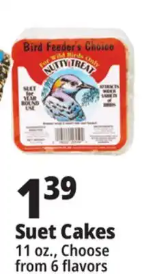 Ocean State Job Lot Bird Feeder's Choice High Energy Suet 11 oz offer