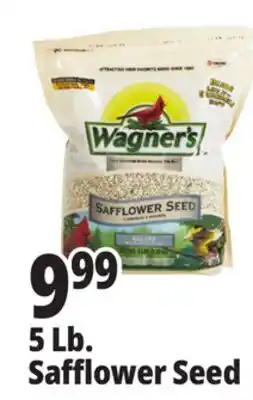 Ocean State Job Lot Wagner's Safflower Seed Deluxe Wild Bird Food offer