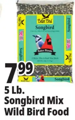 Ocean State Job Lot Better Bird Songbird Better Blends Food 5 lbs offer