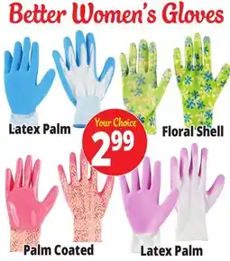 Ocean State Job Lot Garden Gloves offer