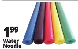 Ocean State Job Lot Assorted Pool Noodles offer