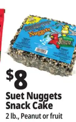 Ocean State Job Lot C&S EZ Fill Suet Cake or Snak Feeder offer