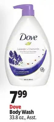 Ocean State Job Lot Dove Body Wash offer