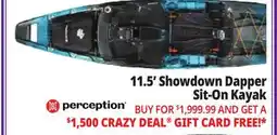 Ocean State Job Lot Perception Showdown 11.5 Fishing Pedal Kayak Dapper offer