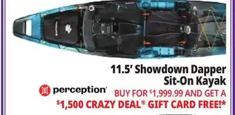 Ocean State Job Lot Perception Showdown 11.5 Fishing Pedal Kayak Dapper offer