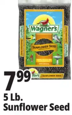 Ocean State Job Lot Wagner's Black Oil Sunflower Seed Wild Bird Food 5 lbs offer