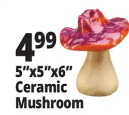 Ocean State Job Lot Large Ceramic Mushroom Assorted offer