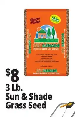 Ocean State Job Lot Premium Quality Sun & Shade Grass Seed Mixture 3 lbs offer