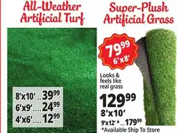 Ocean State Job Lot Artifical Grass offer