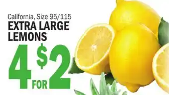 Bravo Supermarkets EXTRA LARGE LEMONS offer