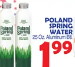 Bravo Supermarkets POLAND SPRING WATER offer