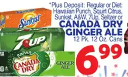 Bravo Supermarkets CANADA DRY GINGER ALE offer
