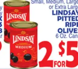 Bravo Supermarkets LINDSAY PITTED RIPE OLIVES offer