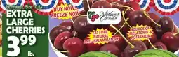 Bravo Supermarkets EXTRA LARGE CHERRIES offer