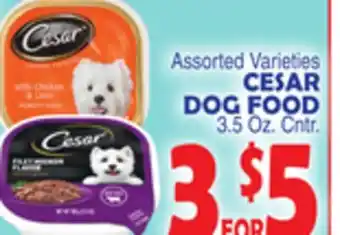 Bravo Supermarkets CESAR DOG FOOD offer