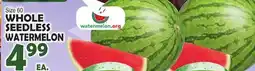 Bravo Supermarkets WHOLE SEEDLESS WATERMELON offer