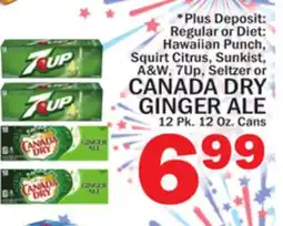 C Town CANADA DRY GINGER ALE offer