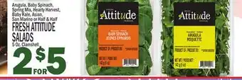 C Town FRESH ATTITUDE SALADS offer