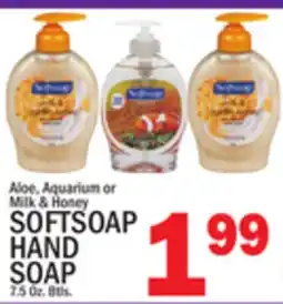 C Town SOFTSOAP HAND SOAP offer