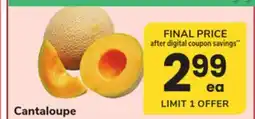 ACME Cantaloupe offer
