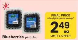 ACME Blueberries offer