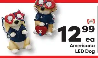 Weis Markets Americana LED Dog offer