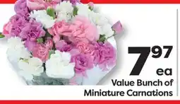 Weis Markets Value Bunch of Miniature Carnations offer