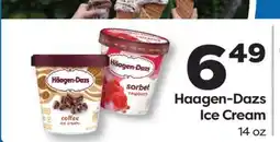 Weis Markets Haagen-Dazs Ice Cream offer
