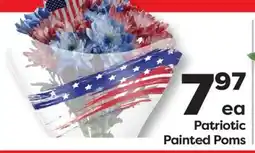 Weis Markets Patriotic Painted Poms offer