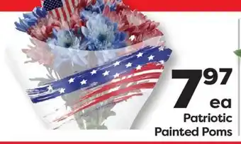 Weis Markets Patriotic Painted Poms offer