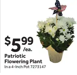 Stop&Shop Patriotic Flowering Plant offer