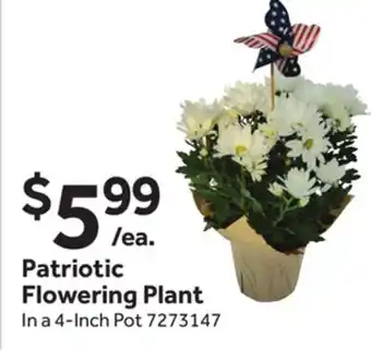 Stop&Shop Patriotic Flowering Plant offer