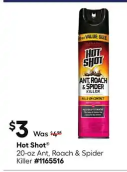 Lowe's 20-oz. Ant, Roach & Spider Killer offer