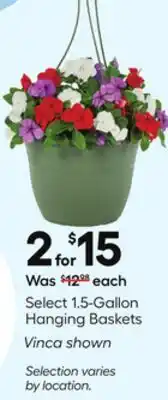 Lowe's Select 1.5-Gallon Hanging Baskets offer
