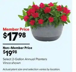 Lowe's Select 2-Gallon Annual Planters offer