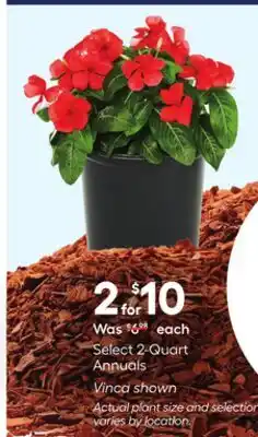 Lowe's Select 2-Quart Annuals offer