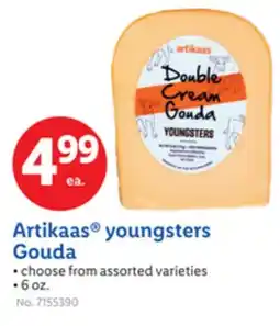 Lidl Artikaas youngsters Gouda offer