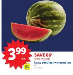 Lidl large seedless watermelon offer