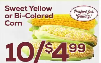 DeCicco & Sons Sweet Yellow or Bi-Colored Corn offer