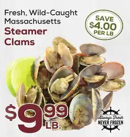 DeCicco & Sons Massachusetts Steamer Clams offer