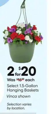 Lowe's Select 1.5-Gallon Hanging Baskets offer