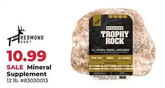 Runnings Mineral Supplement offer