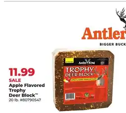 Runnings Apple Flavored Trophy Deer Block offer