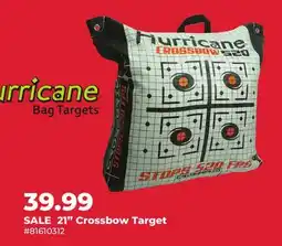 Runnings 21 Crossbow Target offer