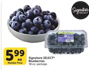 Albertsons Signature SELECT Blueberries - 18 oz. package offer