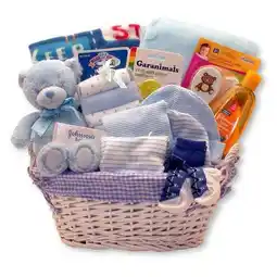 Walmart Gift Basket Drop Shipping Simply Baby Necessities Basket offer