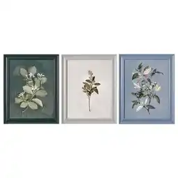 Walmart Beautiful by Drew Framed Vintage Botanical Color Block set of 3 offer