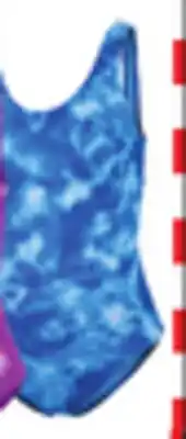 Big 5 Nike Girls' Water Print Swimsuit offer